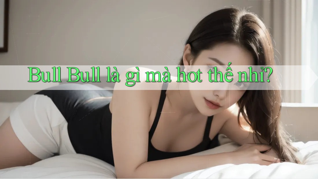 Bull Bull là gì mà hot thế nhỉ? Bull Bull là gì mà hot thế nhỉ?