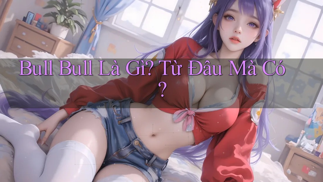 Bull Bull Là Gì? Từ Đâu Mà Có? Bull Bull Là Gì? Từ Đâu Mà Có?