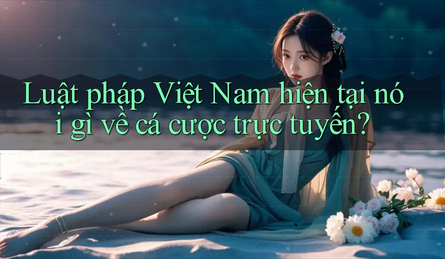 Luật pháp Việt Nam hiện tại nói gì về cá cược trực tuyến?
