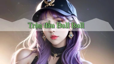 Trận đấu Bull Bull